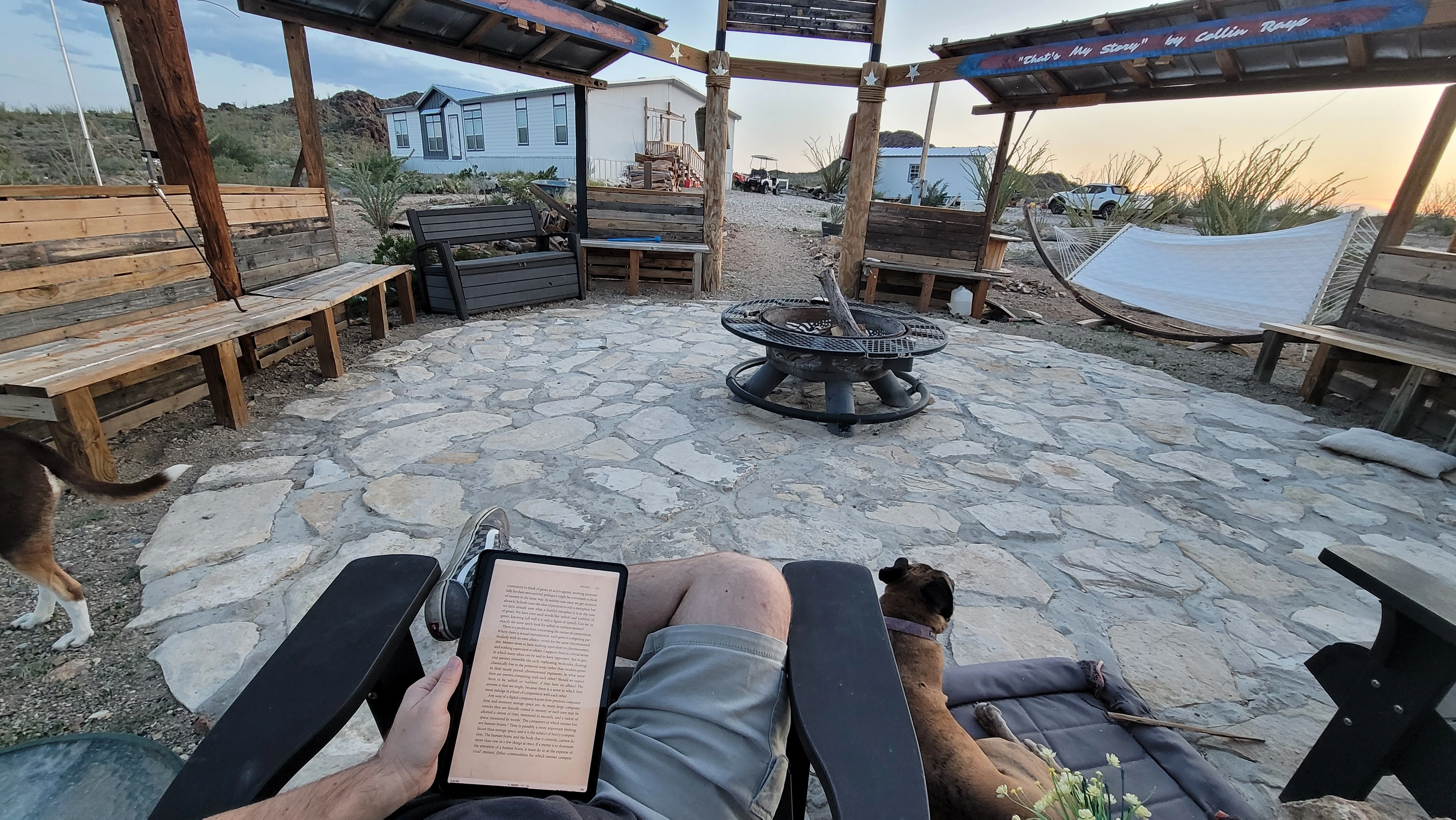 Me just reading the Selfish Gene while the two dogs are with me. One is walking and half out of the shot, while the other is laying on their outside bed beside me.